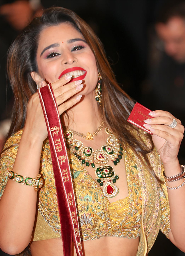 Cannes 2026 : Aarti Khetarpal wore Vrindavan themed Lehenga15