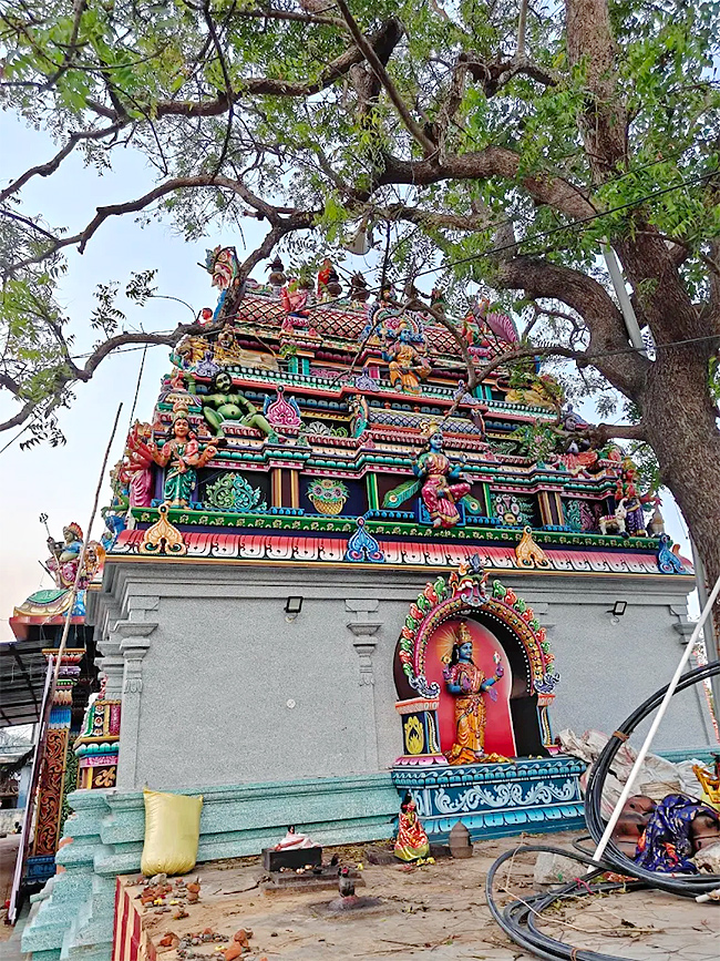 Devotional : Sri Maha Varahi Amman Temple Arasur Tamil Nadu HD Photos11