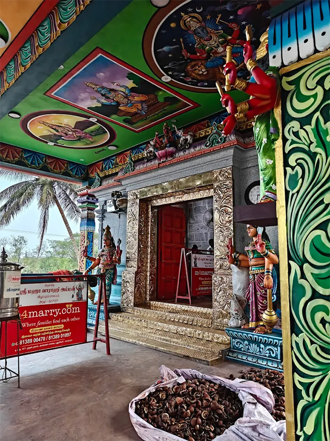 Devotional : Sri Maha Varahi Amman Temple Arasur Tamil Nadu HD Photos17