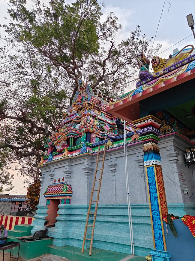 Devotional : Sri Maha Varahi Amman Temple Arasur Tamil Nadu HD Photos18