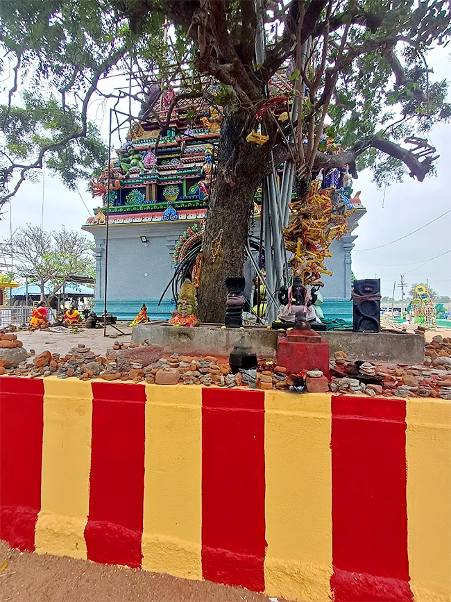Devotional : Sri Maha Varahi Amman Temple Arasur Tamil Nadu HD Photos6