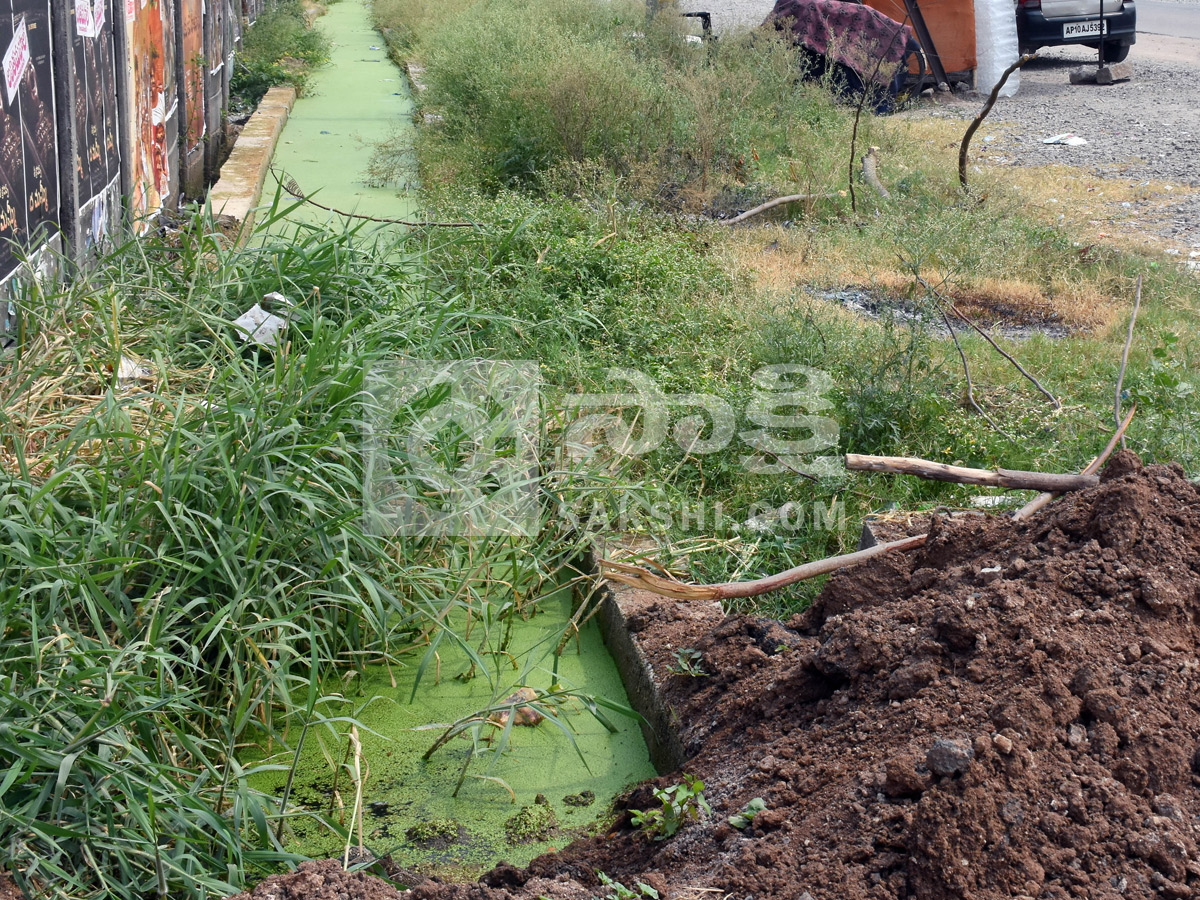Best Photos of The Week in AP and Telangana Photo Gallery15