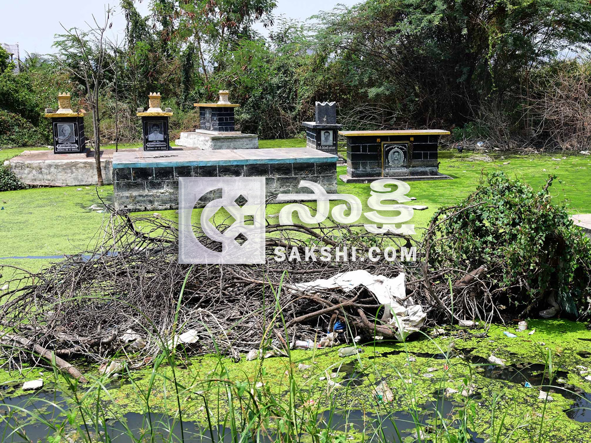 Best Photos of The Week in AP and Telangana Photo Gallery6