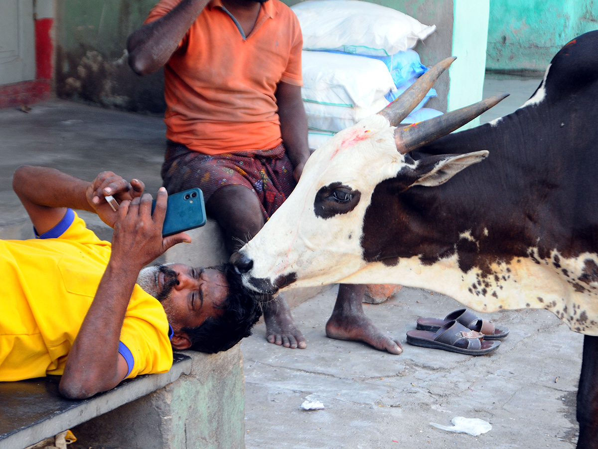 Buffalo Market in Anantapur HD Photos19