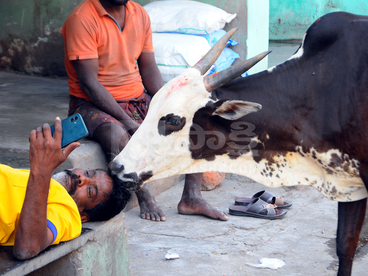 Buffalo Market in Anantapur HD Photos2