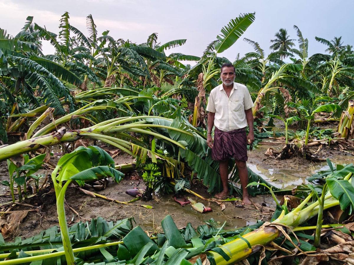 Heavy Rain in Andhra Pradesh Photo Gallery2