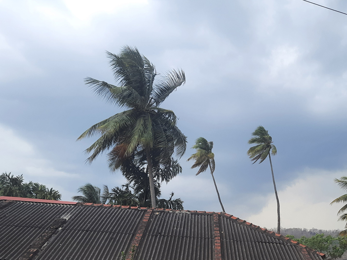 Heavy Rain in Andhra Pradesh Photo Gallery6