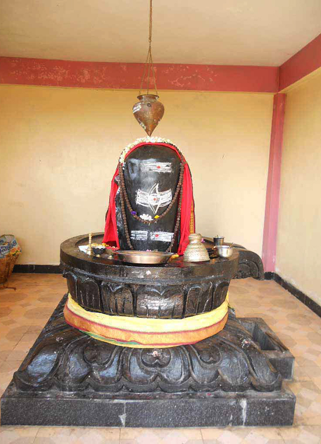 SiddalaKona is Located in Sydapuram mandal Nellore District13