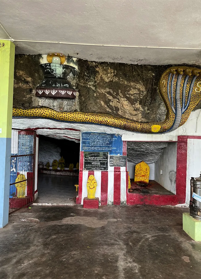 SiddalaKona is Located in Sydapuram mandal Nellore District15