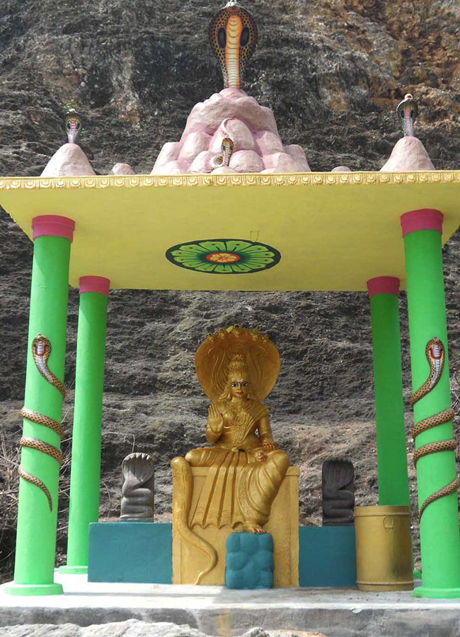 SiddalaKona is Located in Sydapuram mandal Nellore District16