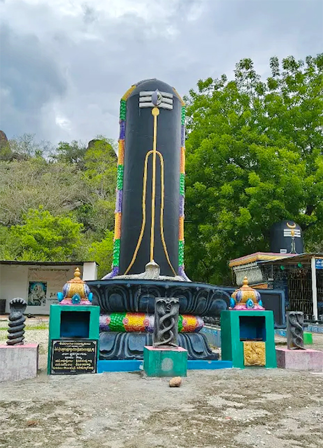 SiddalaKona is Located in Sydapuram mandal Nellore District17