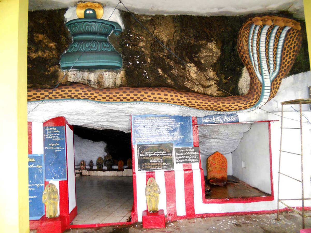 SiddalaKona is Located in Sydapuram mandal Nellore District2