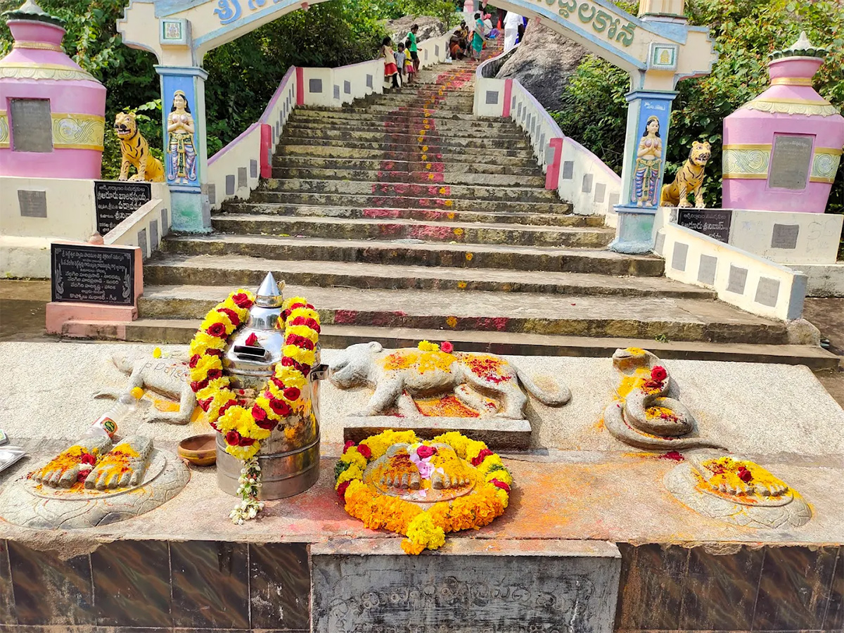 SiddalaKona is Located in Sydapuram mandal Nellore District4