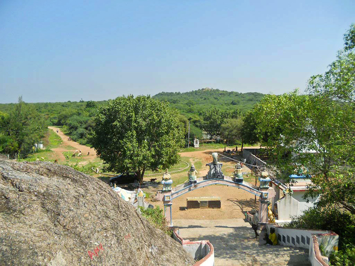 SiddalaKona is Located in Sydapuram mandal Nellore District9
