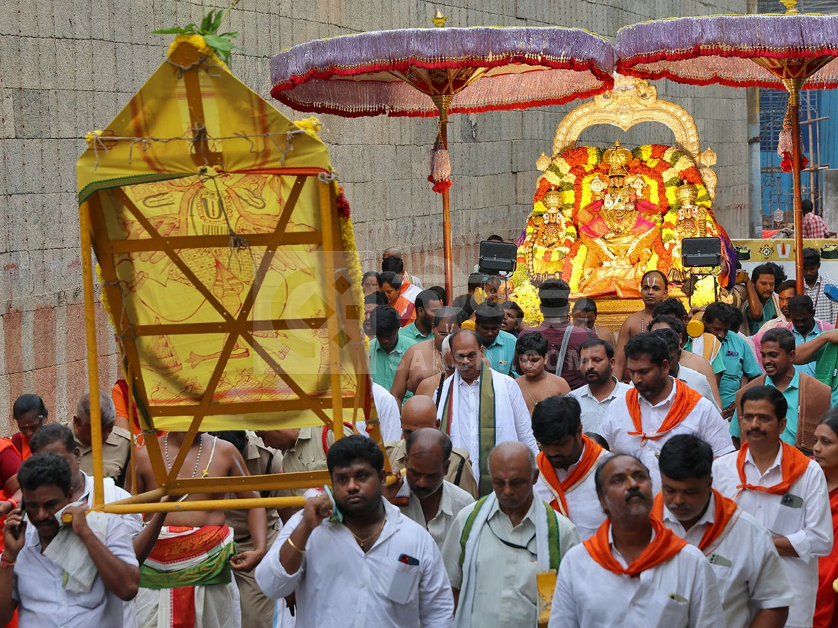 ANNUAL BRAHMOTSAVAMS OF SRI GOVINDARAJA SWAMY TEMPLE BEGIN GRANDLY Photos1