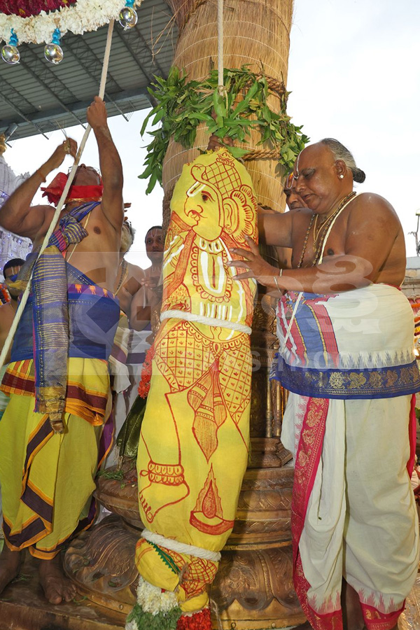 ANNUAL BRAHMOTSAVAMS OF SRI GOVINDARAJA SWAMY TEMPLE BEGIN GRANDLY Photos8