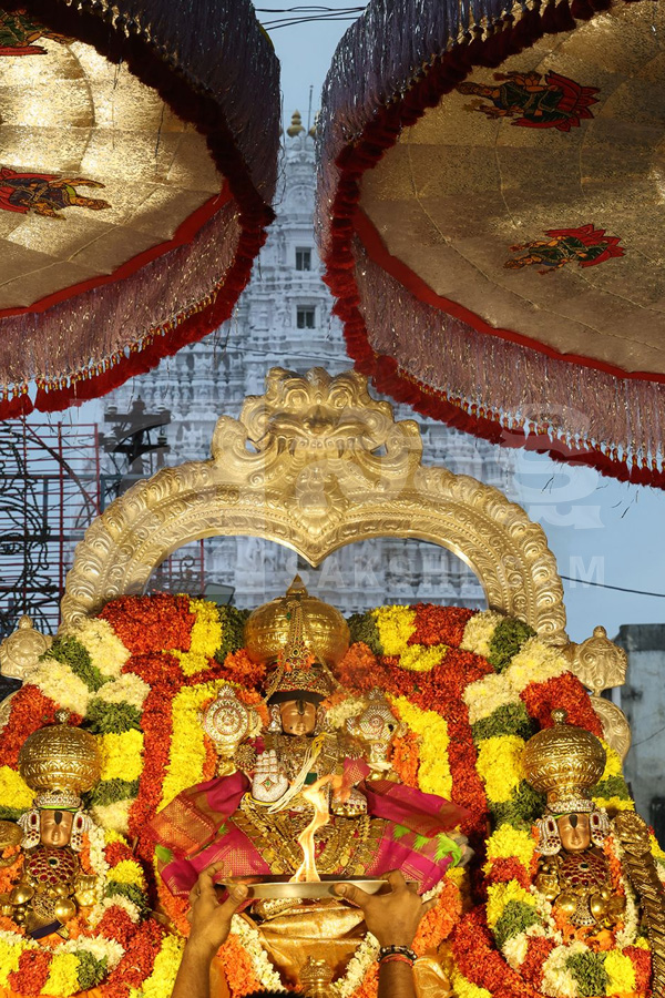 ANNUAL BRAHMOTSAVAMS OF SRI GOVINDARAJA SWAMY TEMPLE BEGIN GRANDLY Photos9