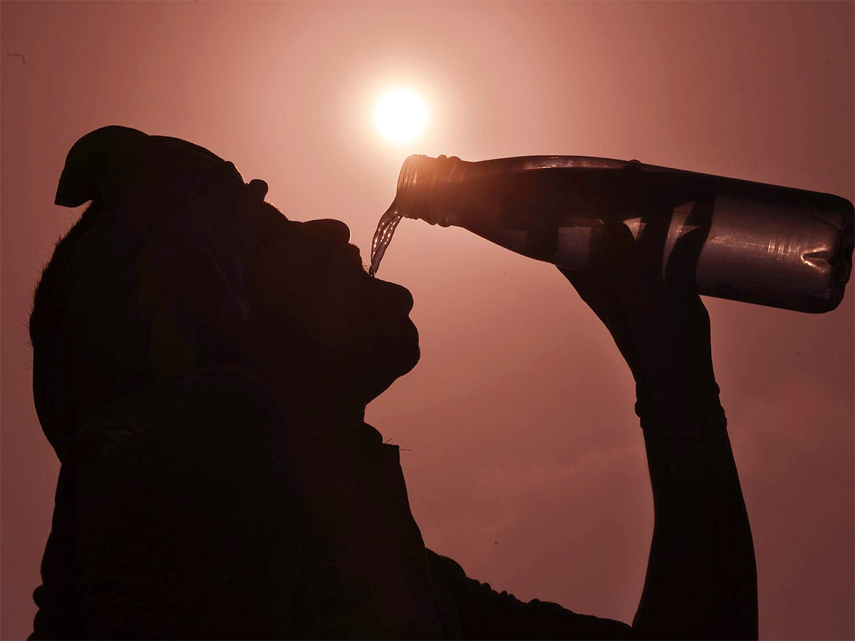 The chirping of birds for a drop of water11
