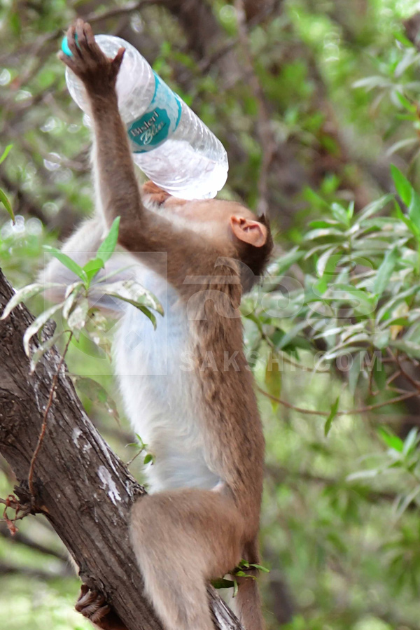 Best Photos of The Week in AP and Telangana Photo Gallery26