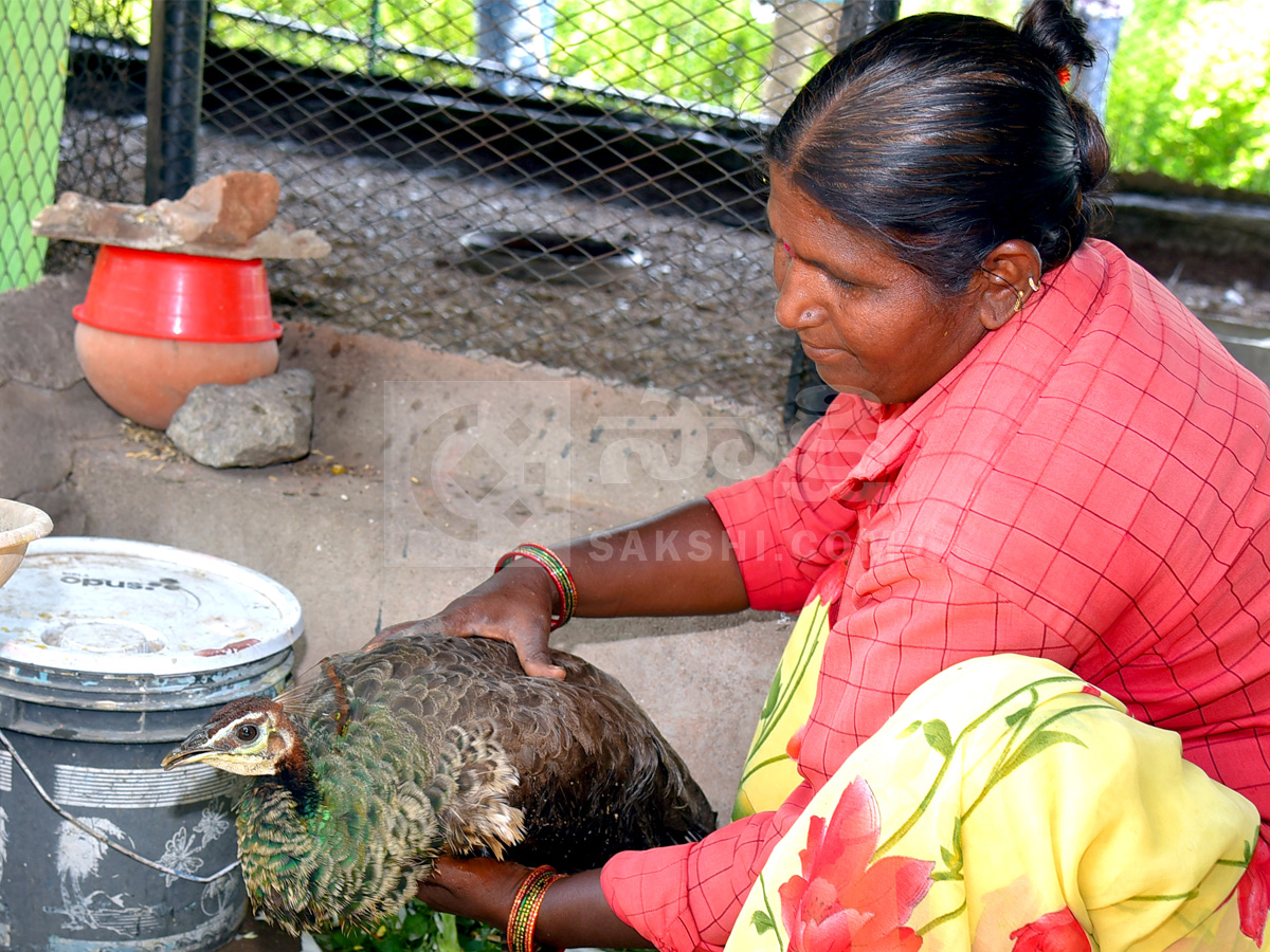 Best Photos of The Week in AP and Telangana Photo Gallery29