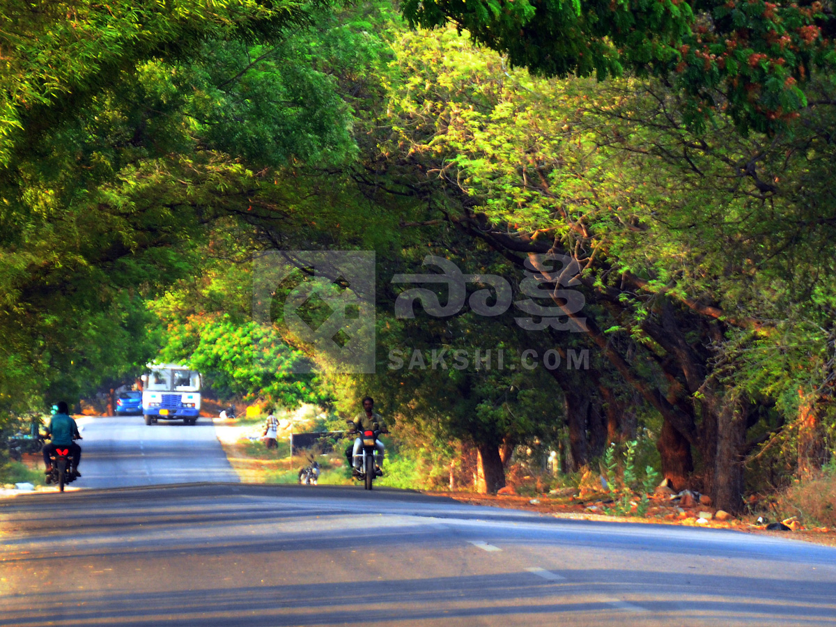 Best Photos of The Week in AP and Telangana Photo Gallery5
