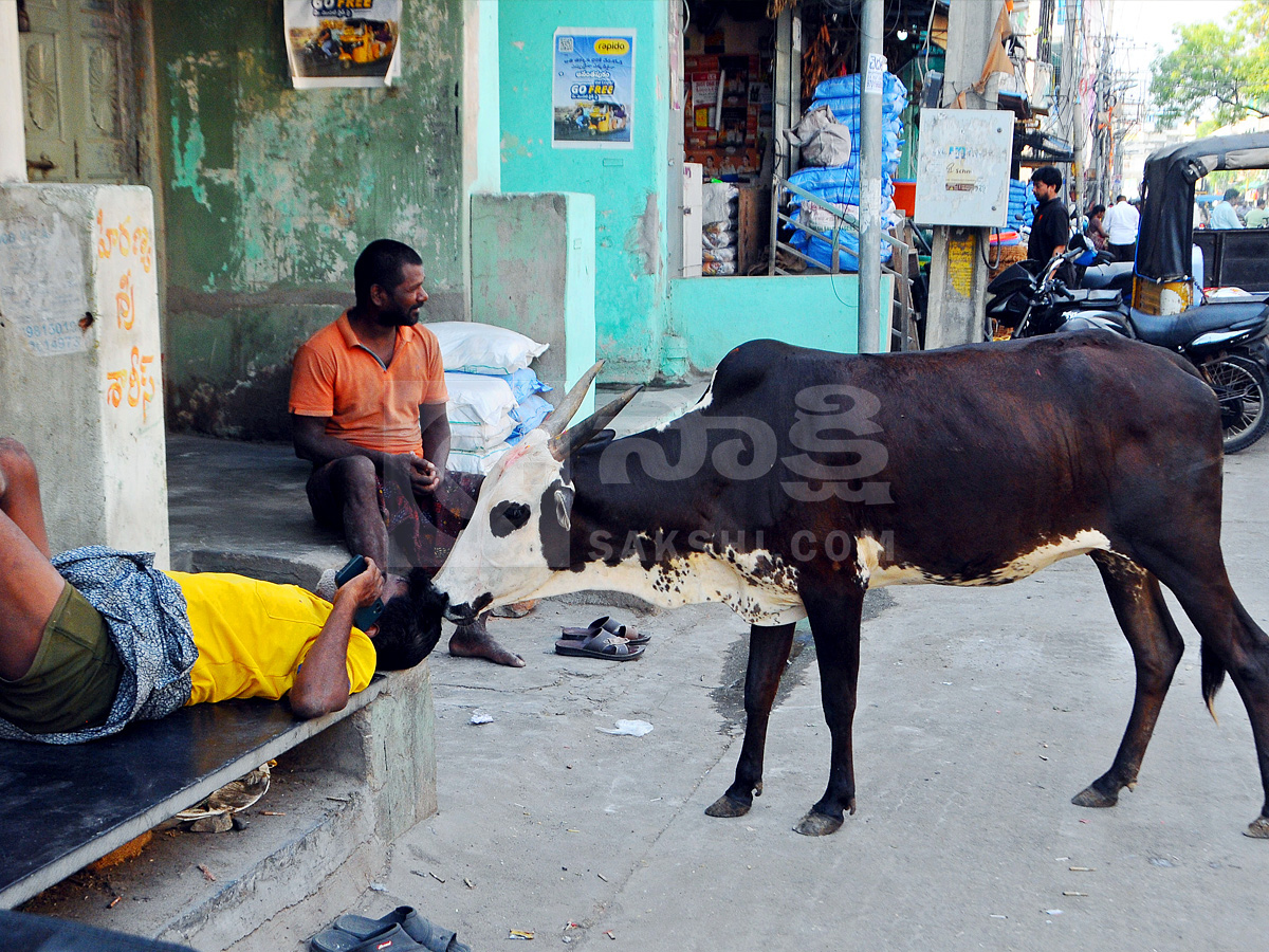 Best Photos of The Week in AP and Telangana Photo Gallery6
