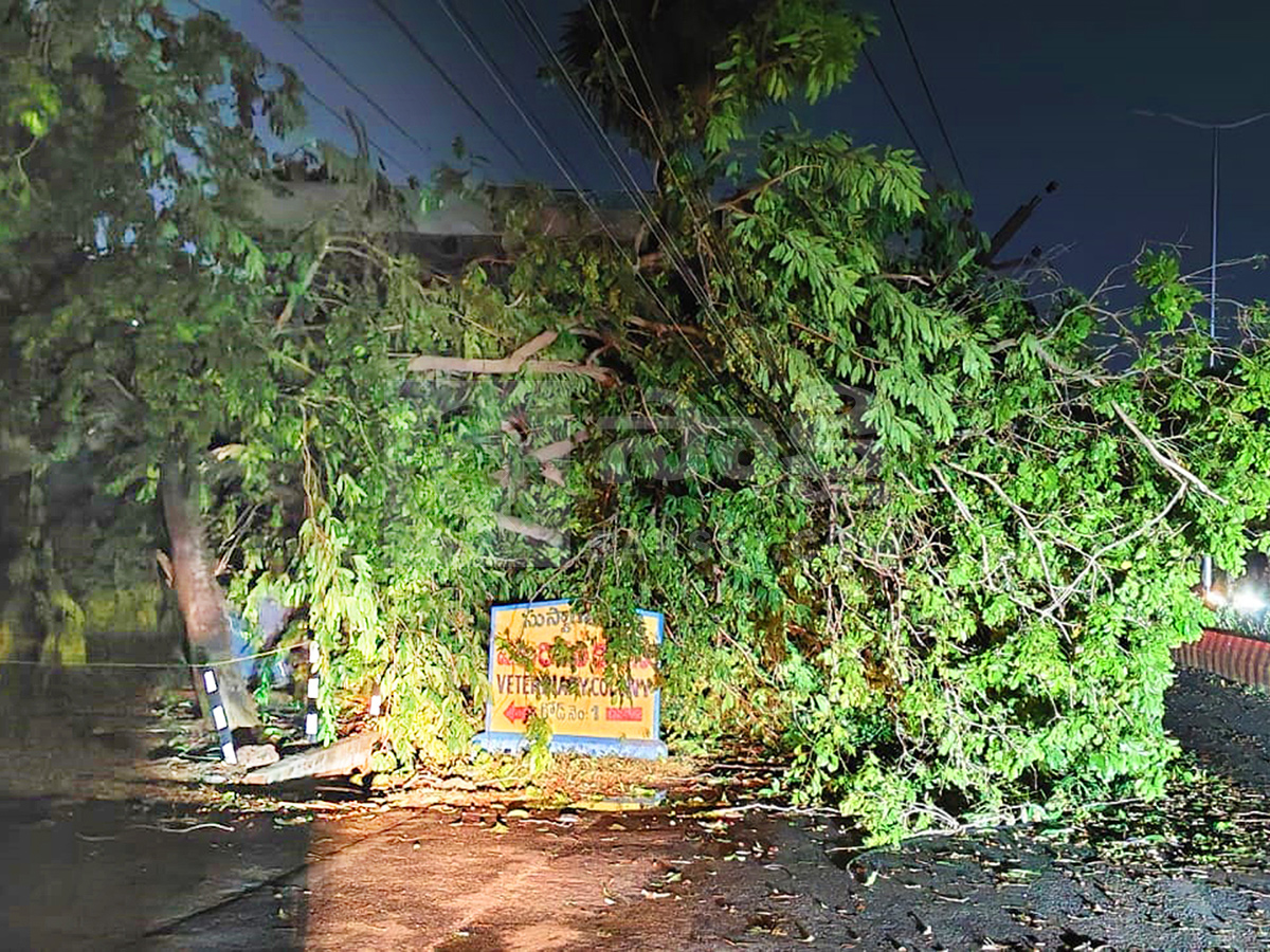 Night Heavy Rain in Vijayawada​ HD Photos23
