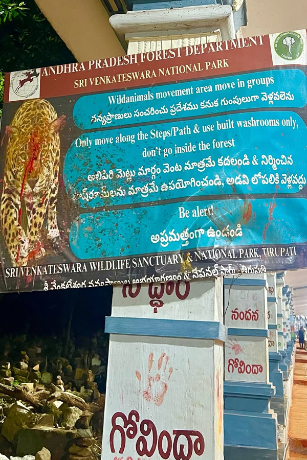 Celebrities Visits Tirumala Tirupati Photos33