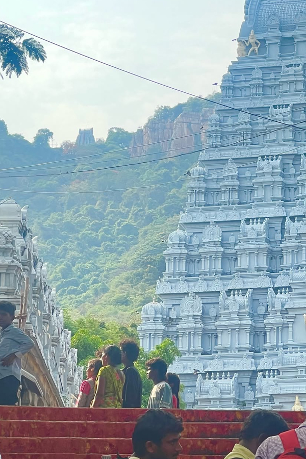 Celebrities Visits Tirumala Tirupati Photos27