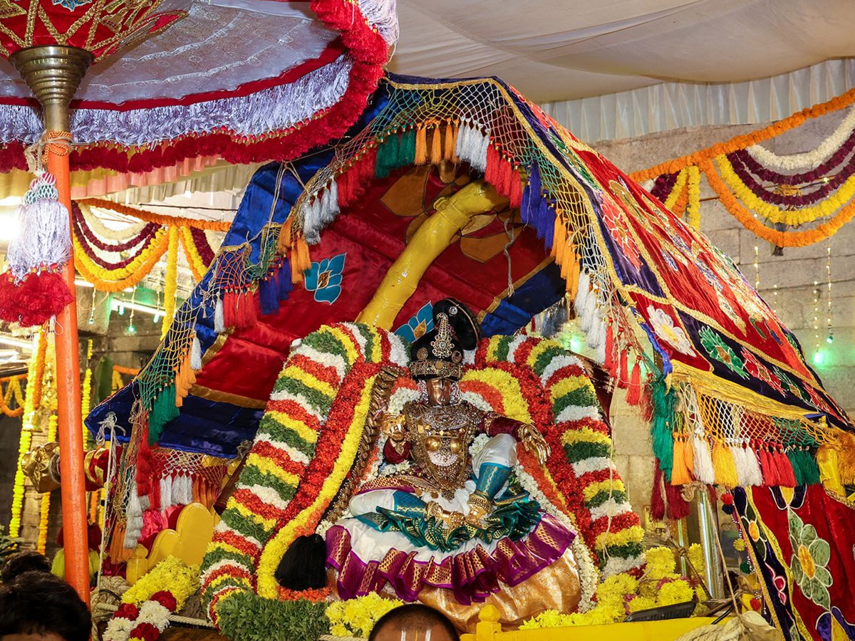 SRI GOVINDARAJA SWAMY ENCHANTS DEVOTEES IN MOHINI AVATAR Photos5