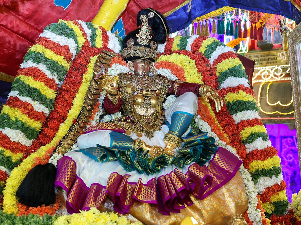 SRI GOVINDARAJA SWAMY ENCHANTS DEVOTEES IN MOHINI AVATAR Photos7