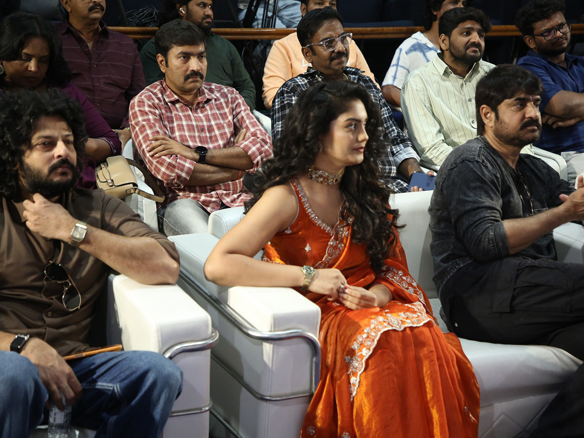 Mister Middle Class Telugu Movie Teaser HD Photos 1
