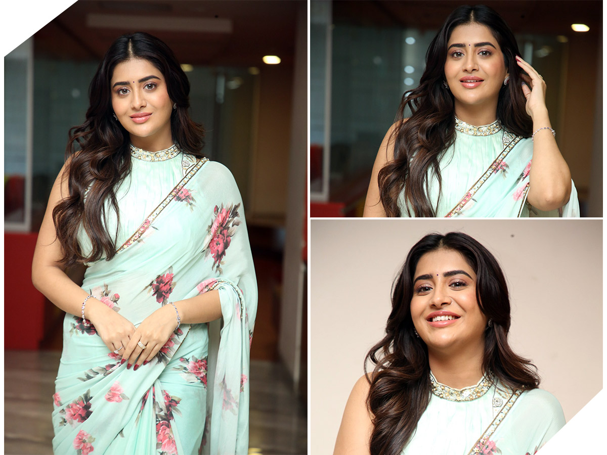 Rashi Singh looks even more beautiful in a flower saree Photos1