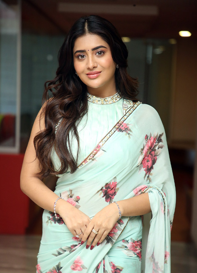 Rashi Singh looks even more beautiful in a flower saree Photos11