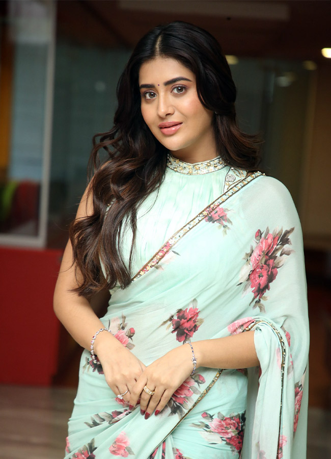 Rashi Singh looks even more beautiful in a flower saree Photos12