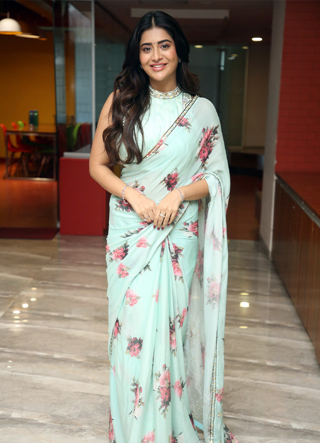 Rashi Singh looks even more beautiful in a flower saree Photos8