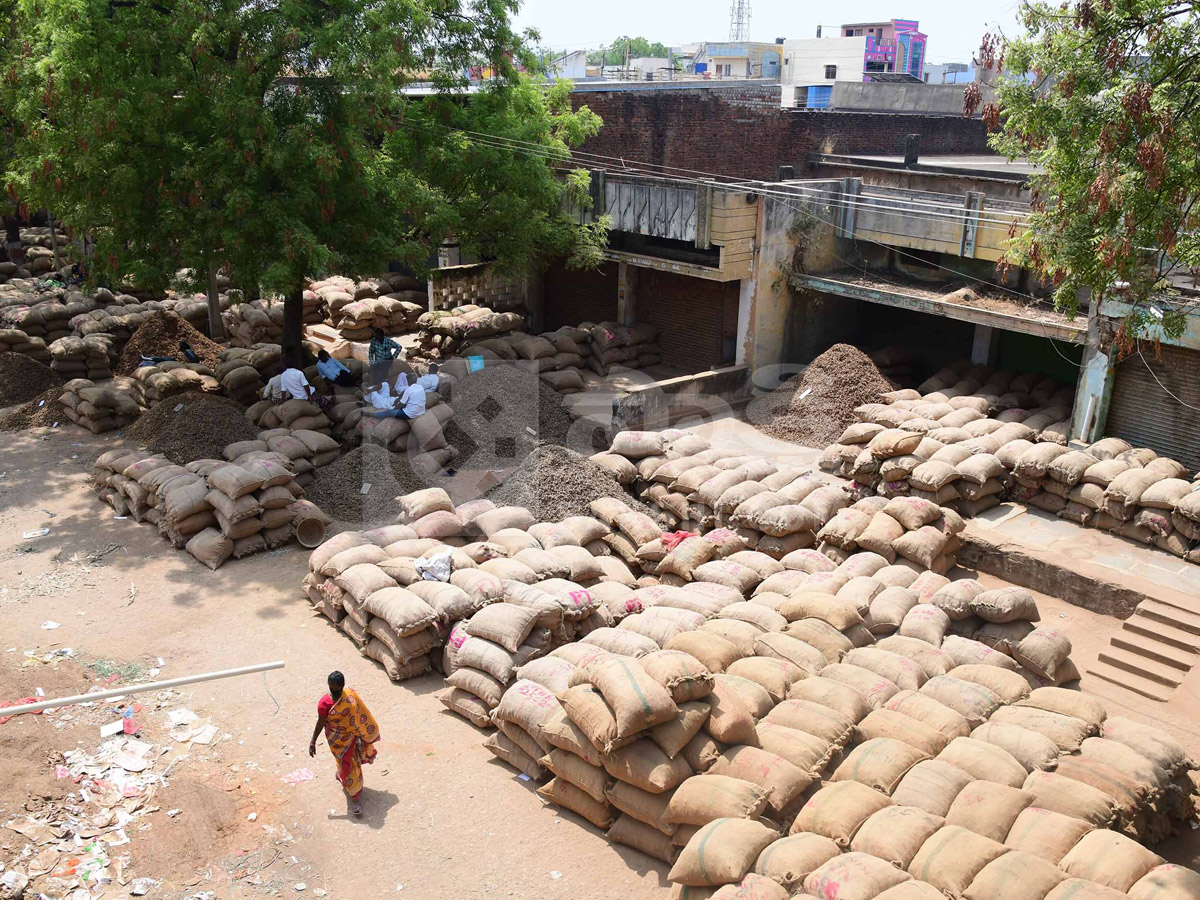 Best Photos of The Week in AP and Telangana Photo Gallery15