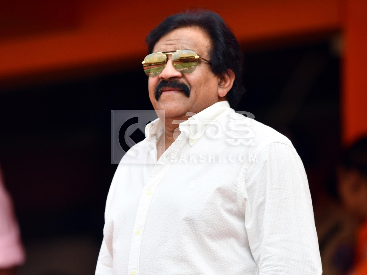 IPL Fans Josh At SRH Vs KKR Match Photos28