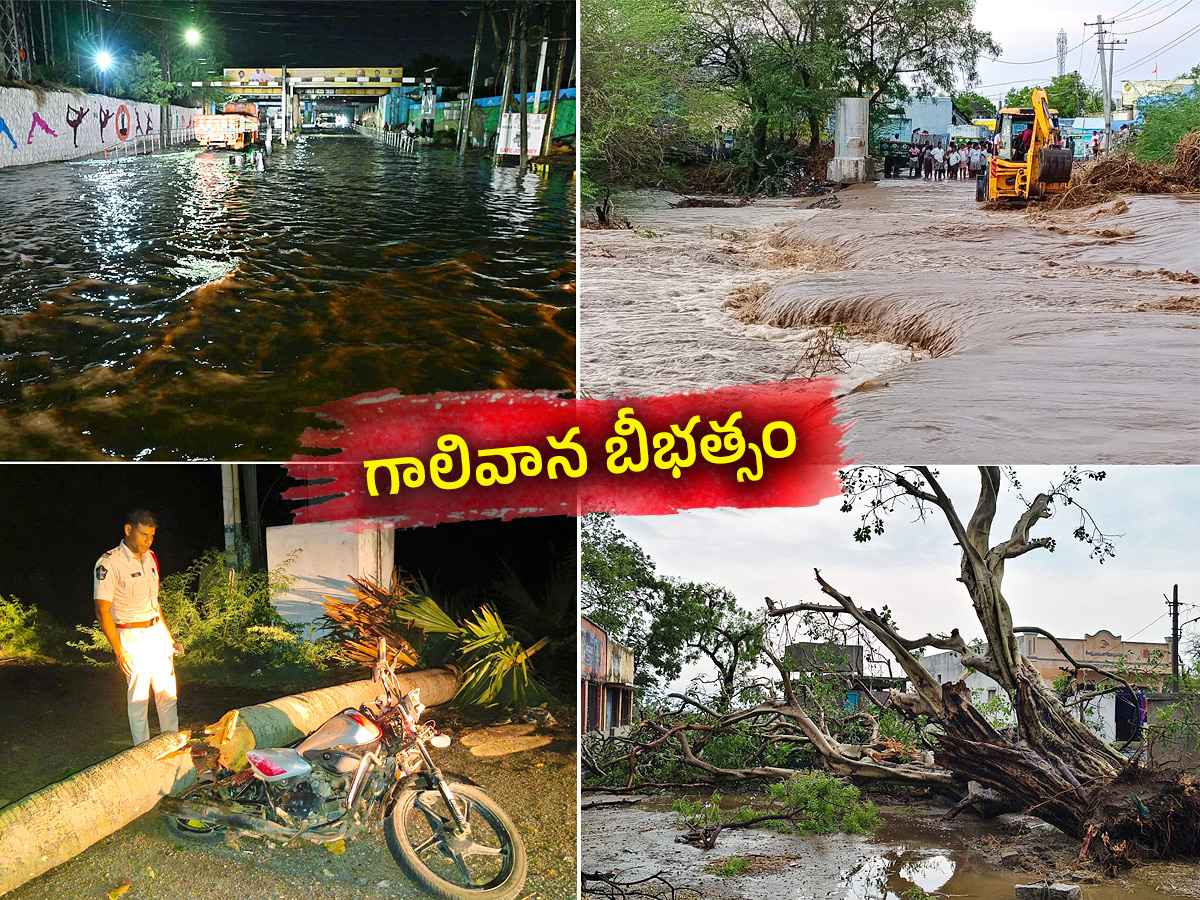 Thunderstorms wreak havoc in several districts of AP1