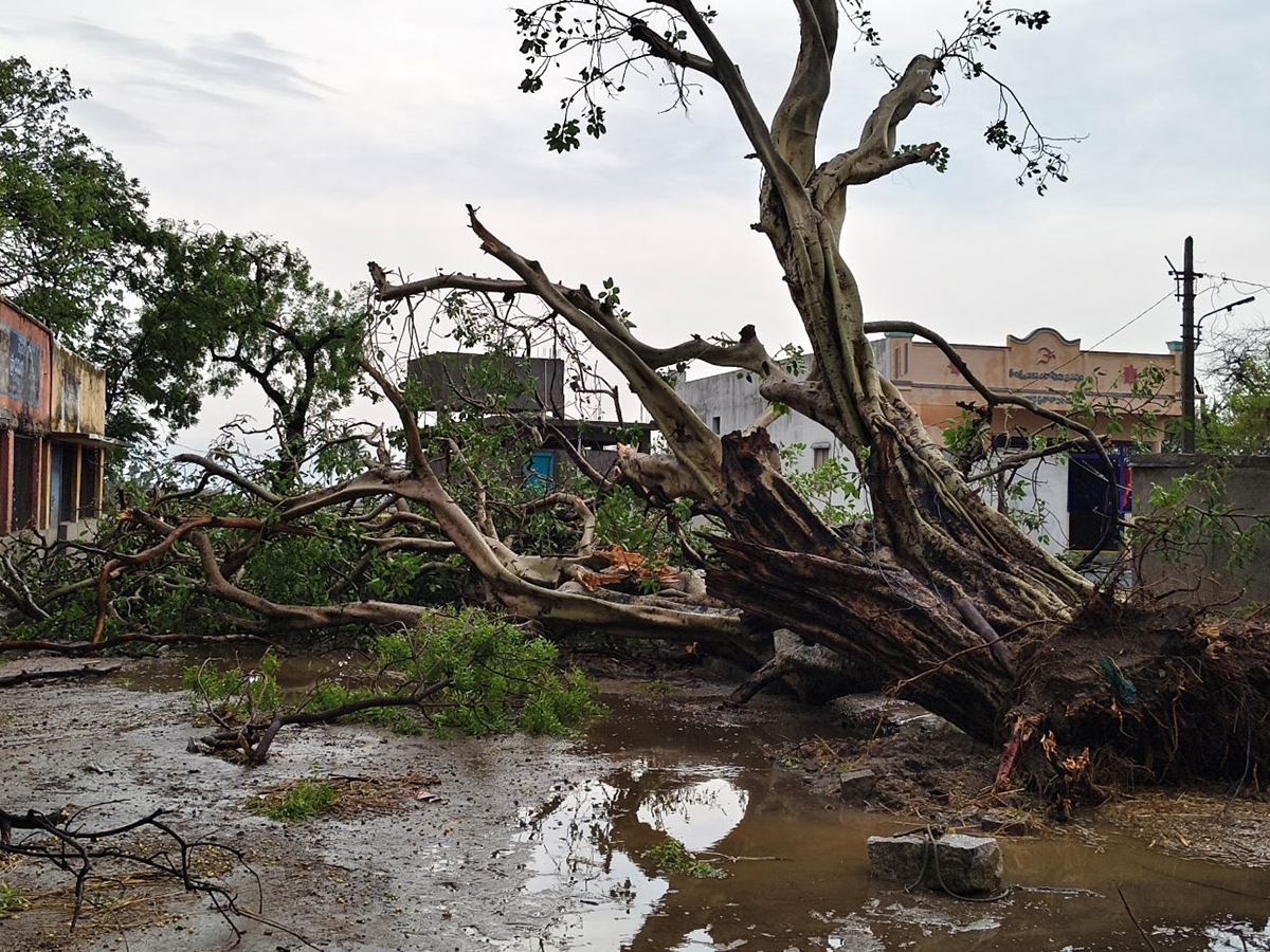 Thunderstorms wreak havoc in several districts of AP10