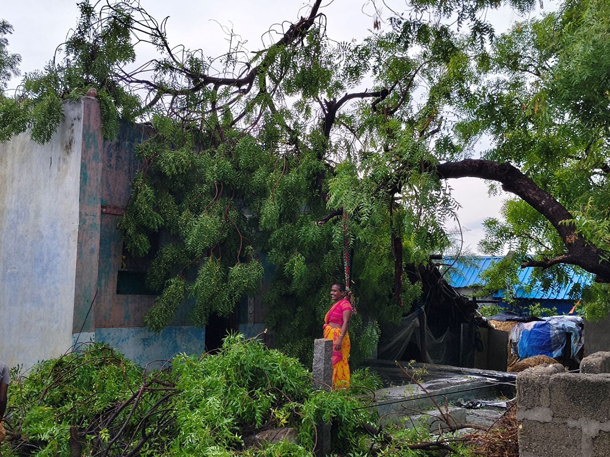 Thunderstorms wreak havoc in several districts of AP11