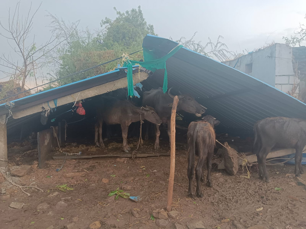 Thunderstorms wreak havoc in several districts of AP12