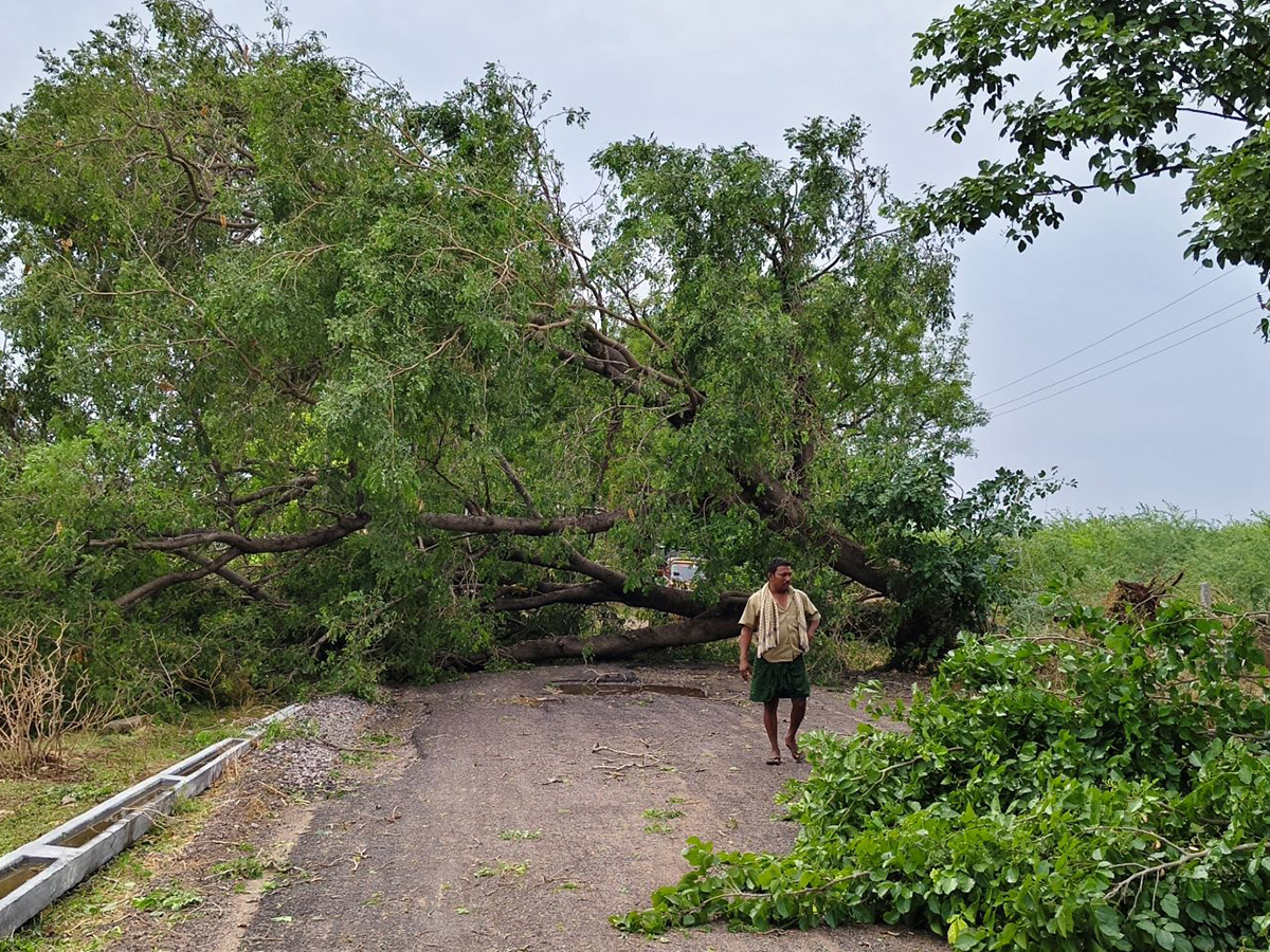 Thunderstorms wreak havoc in several districts of AP14