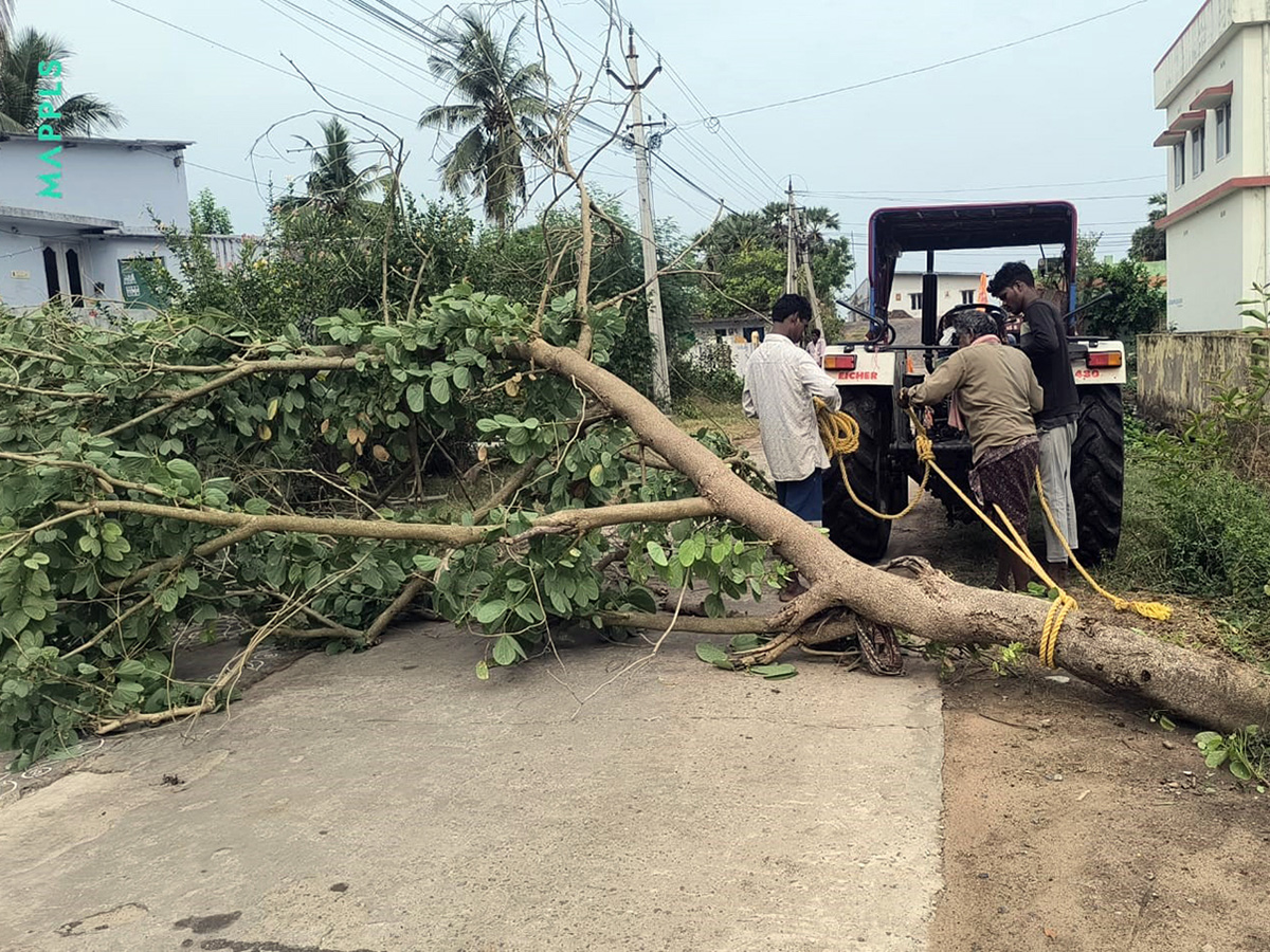 Thunderstorms wreak havoc in several districts of AP16