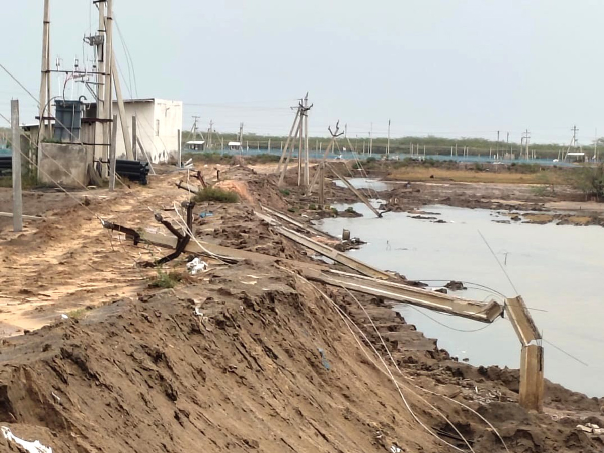 Thunderstorms wreak havoc in several districts of AP17