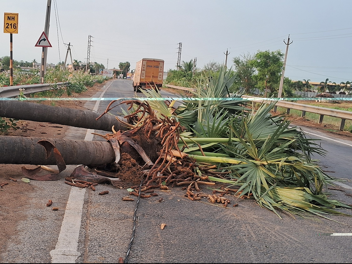 Thunderstorms wreak havoc in several districts of AP20