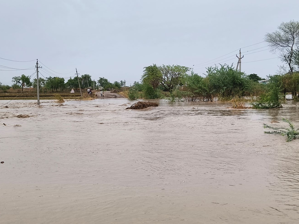 Thunderstorms wreak havoc in several districts of AP7