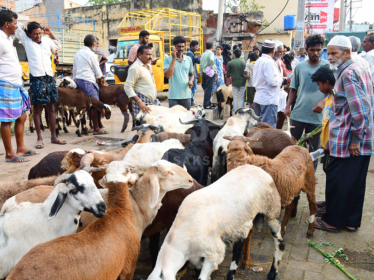 Best Photos of The Week in AP and Telangana Photo Gallery2