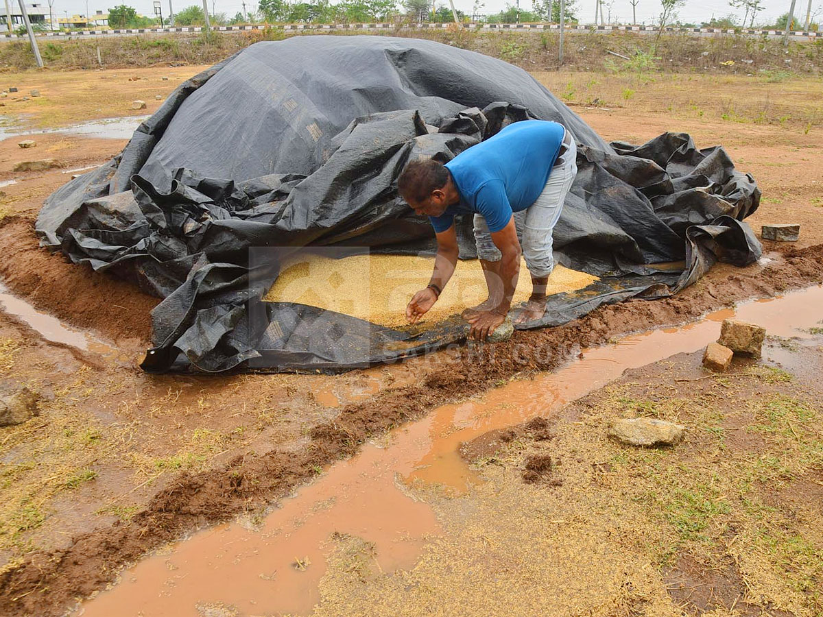 Best Photos of The Week in AP and Telangana Photo Gallery17