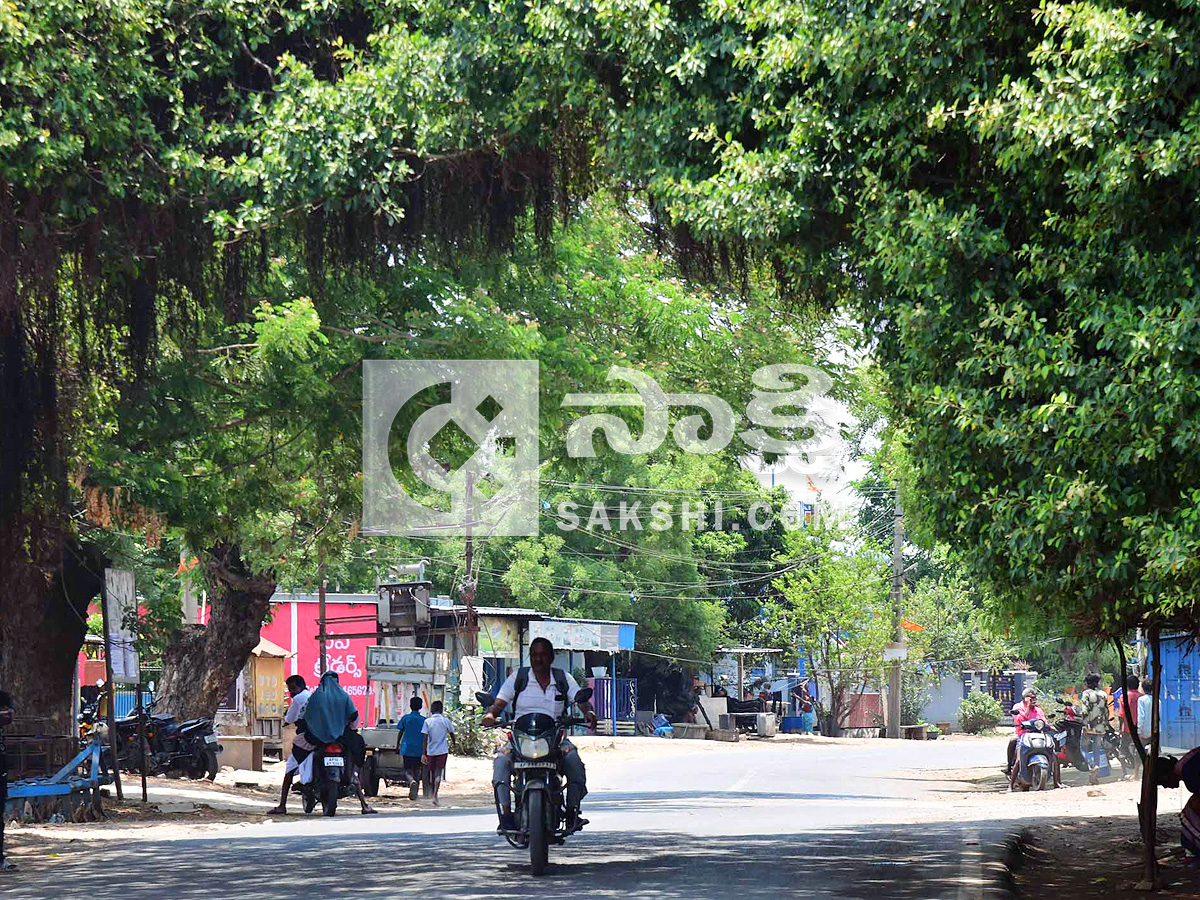 Best Photos of The Week in AP and Telangana Photo Gallery3